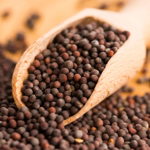 mustard seeds